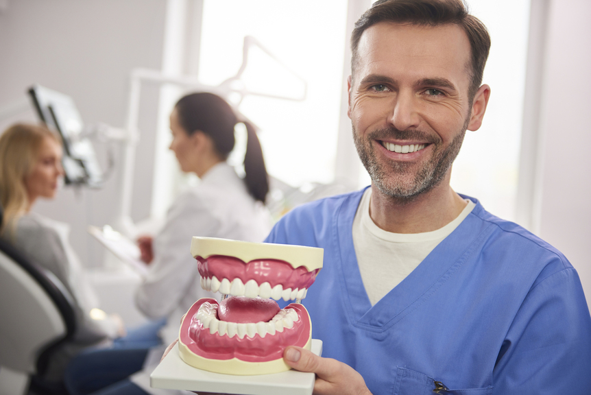 Smiling dentist showing an artificial dentures Smiling dentist showing an artificial dentures